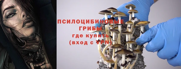 spice Володарск