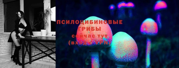 spice Володарск