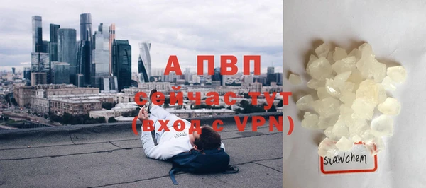 СК Волосово