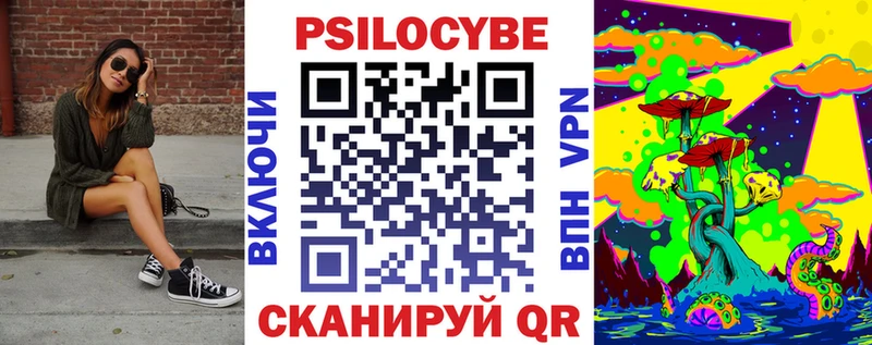 Купить закладки  Славгород  Галлюциногенные грибы Psilocybe 