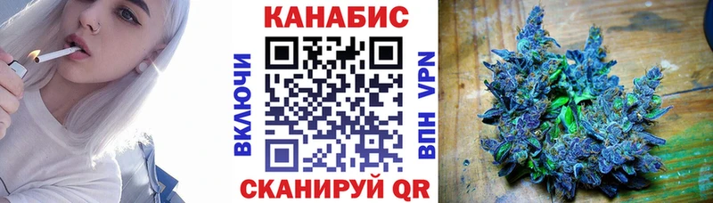 Бошки марихуана конопля  Купить где  Славгород 